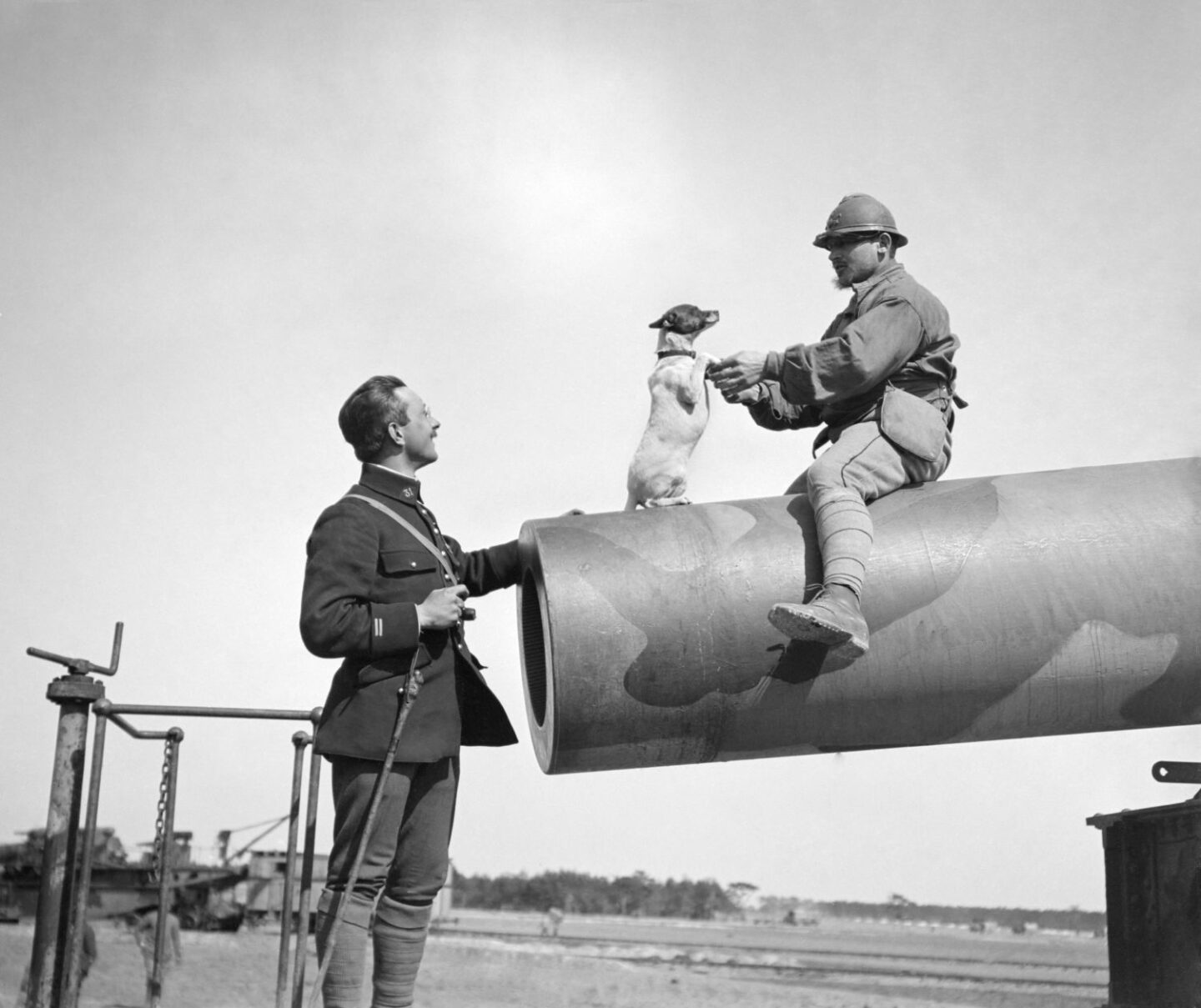 Un chien mascotte est photographié sur un obusier de 400 mm en
compagnie d'un lieutenant du 31ᵉ régiment d'artillerie. Mourmelon-le
Petit, Marne, France, 1917, © Pierre Pansier (SPA)/ECPAD/SPA 29
N 1090