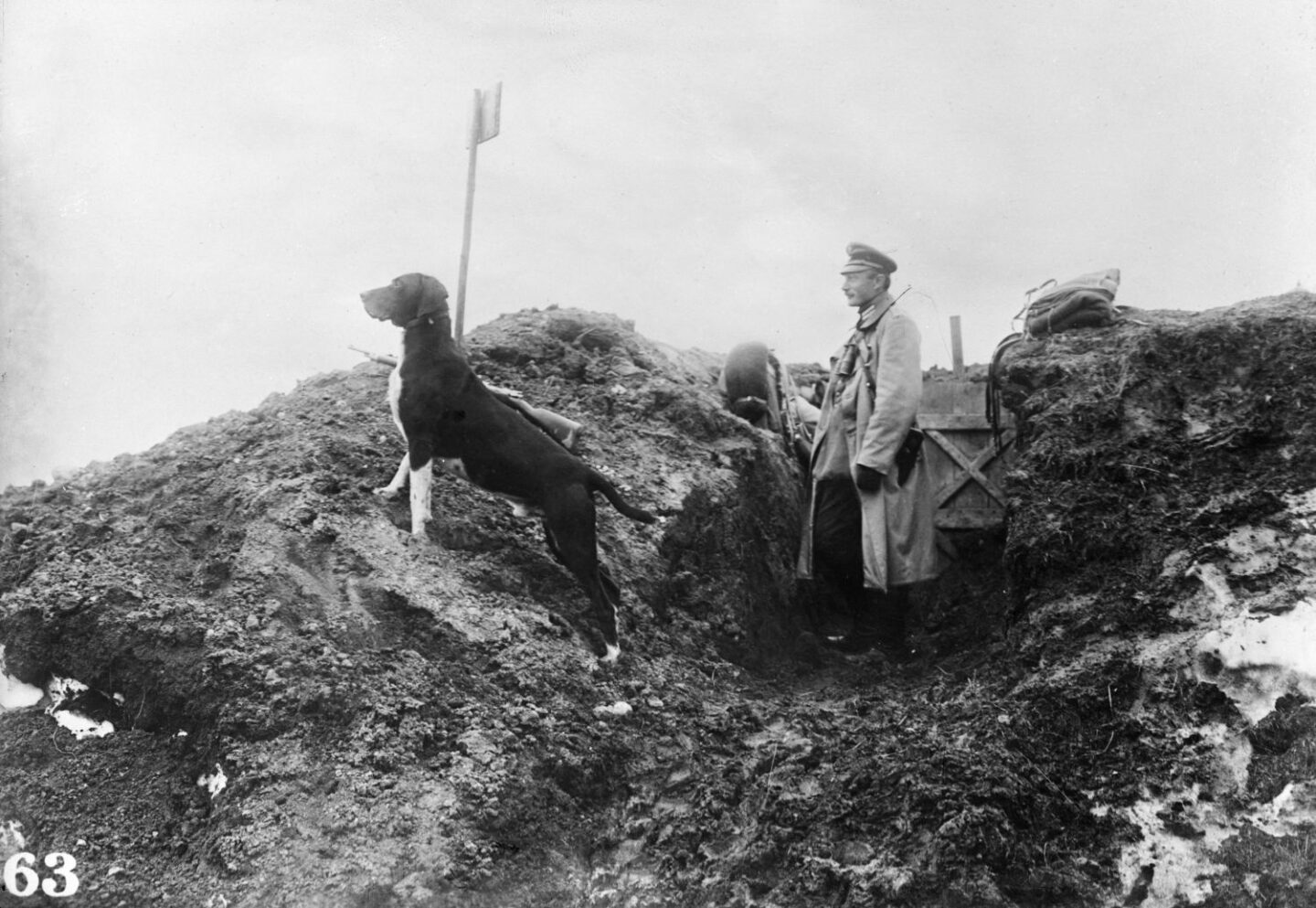 Un officier allemand et son chien dans une tranchées des dunes de Flandre. France, 1915, © Maurice-Louis Branger / Roger-Viollet