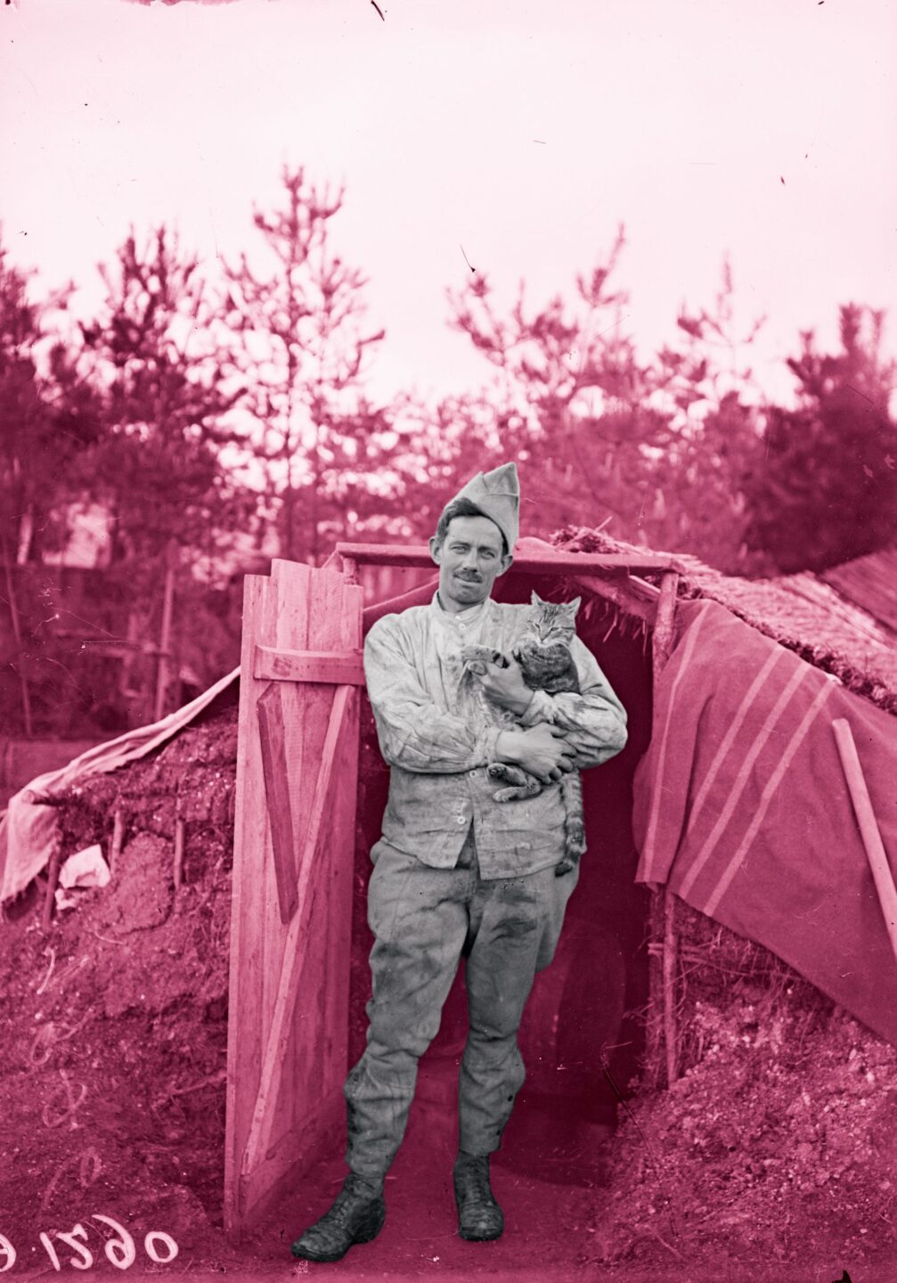 Visuel de l'affiche Poilus : Histoire des chats et chiens de la Grande Guerre ©ECPAD